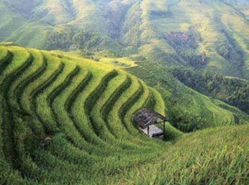 农田排灌、水利领域
