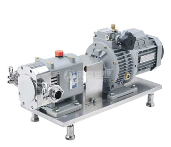 电机+普通无级变速转子泵