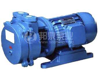 SK单级直联式水环真空泵
